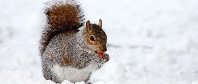 节气养生丨今日大雪，冰天雪地阴气盛，学点规矩好过冬！这8个伤身事，别再做