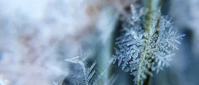 极冷天气怎么暖身？办法都在这，千万别在这么关键的日子“受寒”