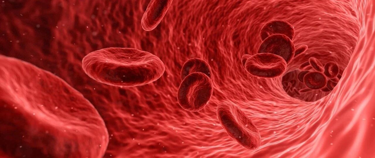 血管一堵，疾病不断！这些食物中的血管“清道夫”一定要常吃