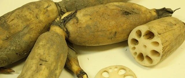 它是女性养血宝，秋季多吃身体好！这些吃法你最喜欢哪个？