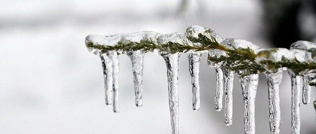 节气养生丨今日小寒，最冷的时候到了！学点规矩保健康，别让养生变伤身~