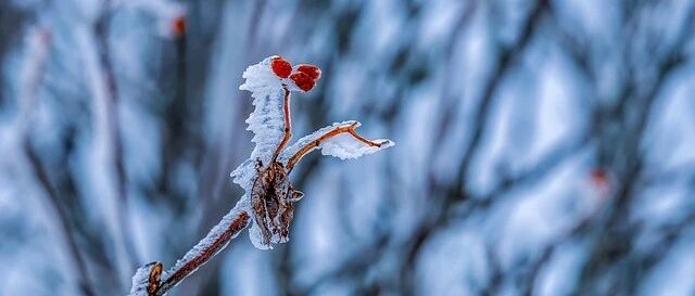节气养生丨今日冬至，阴阳转换的关键节气到了！身体最需要你做这些，学点规矩更健康~