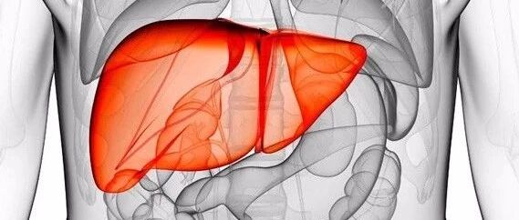 肝好＝“肝净”！肝上多了这个“东西”的人注意了，快学9招给肝脏做个“大扫除”~