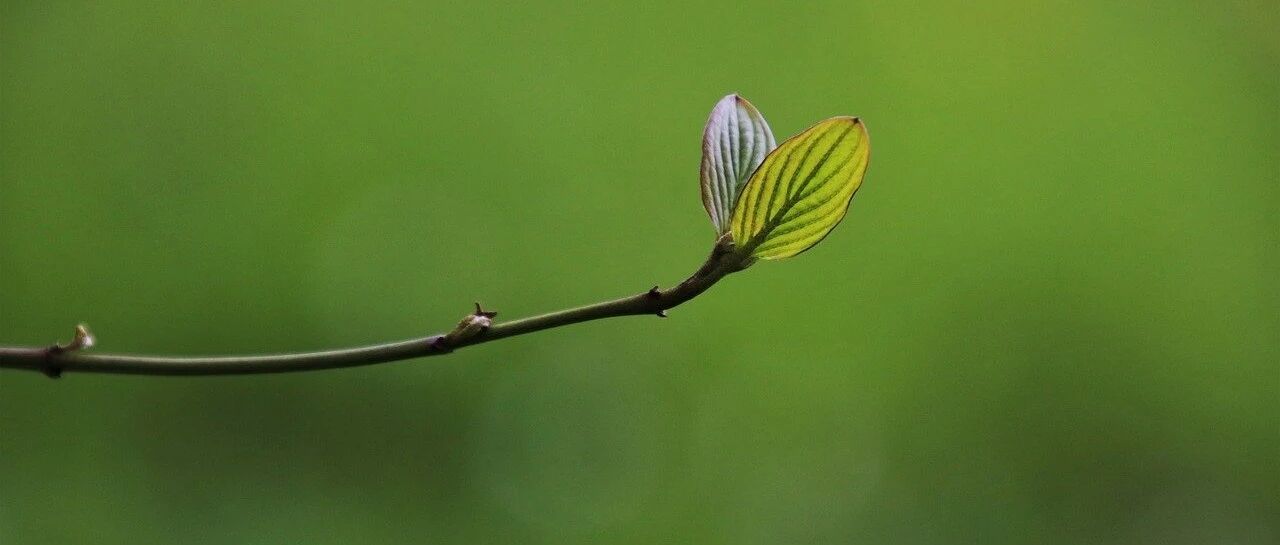 节气养生丨今日雨水，寒气未退湿气至，疏肝理脾保健康！这些小规矩，一定要了解~