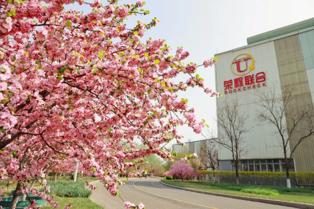 荣程视觉来一起走进春天里的荣程钢铁