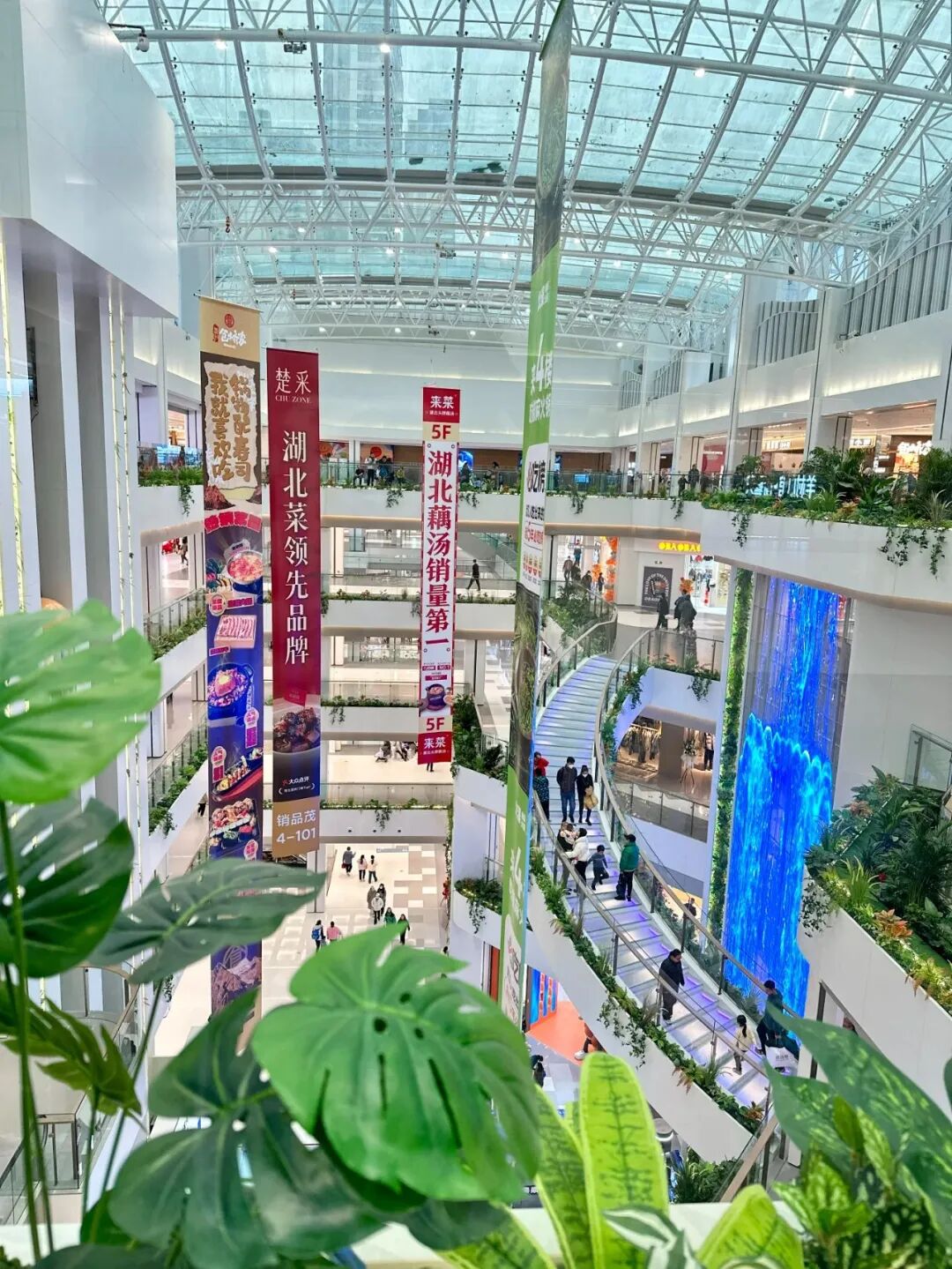 2024年q1全国新开项目超40家一个比一个显眼