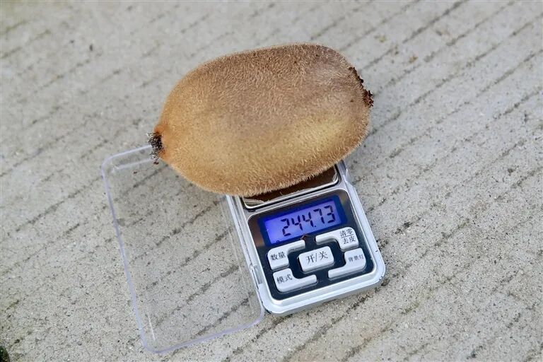 ͼƬ
