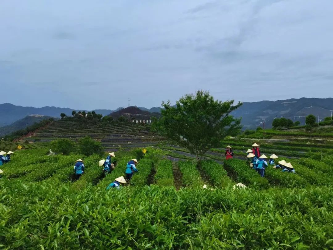 劳动教育意义_劳动节的来历意义_劳动法的适用范围扩大的意义