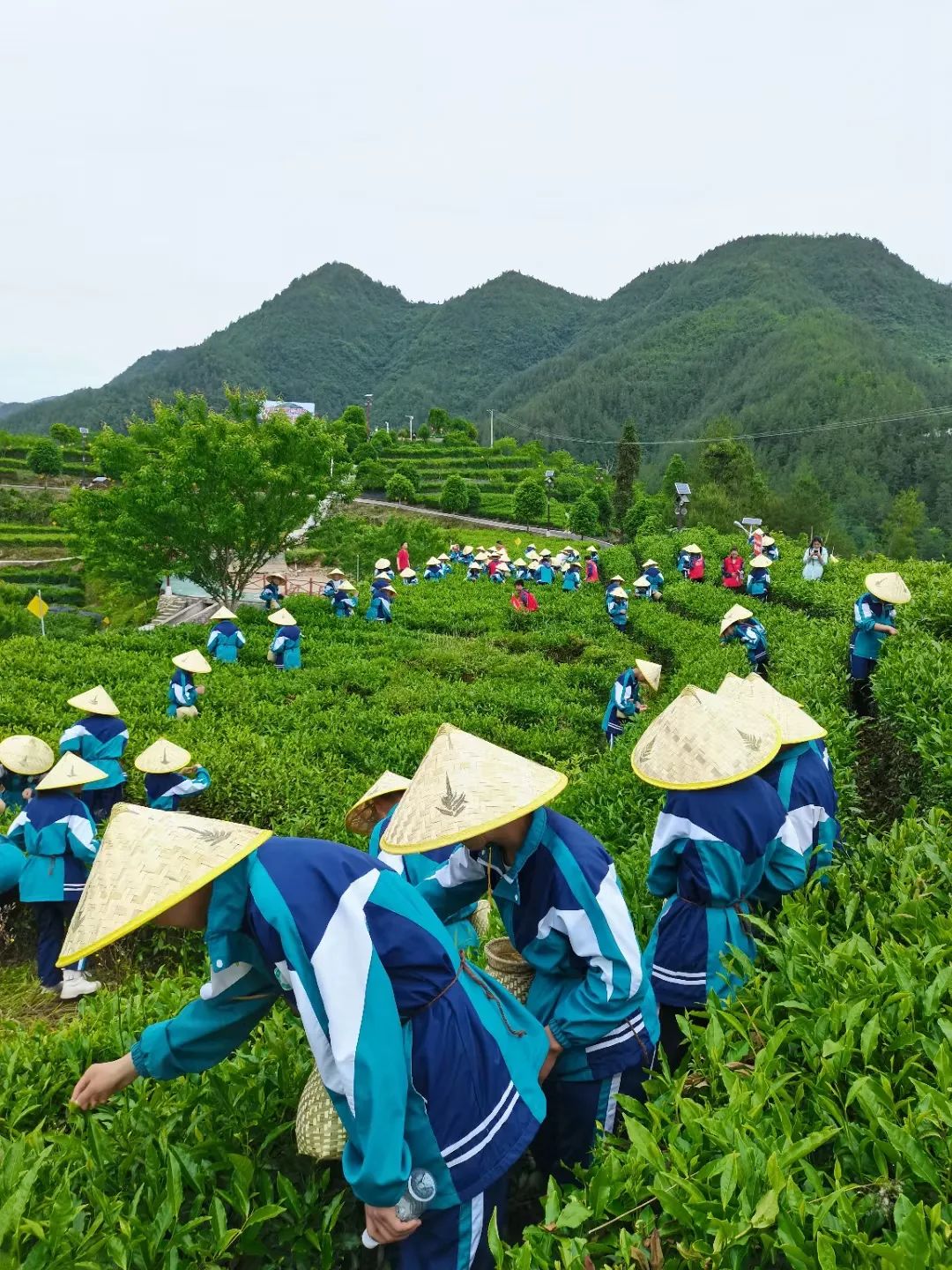 劳动法的适用范围扩大的意义_劳动节的来历意义_劳动教育意义