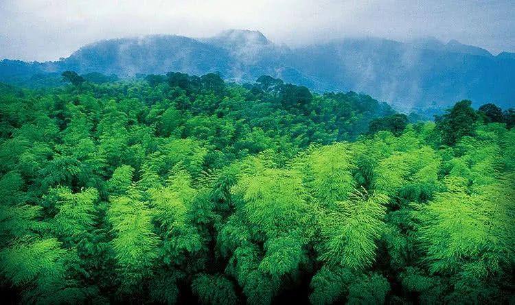 天目湖御水温泉开放时间_天目湖御水温泉游玩攻略_天目湖御水温泉