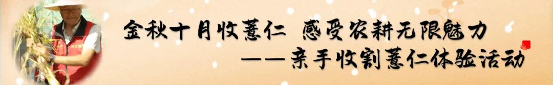 电动医疗床怎么用【医疗科普】电动起立床 让患者在“躺平治疗”中站起来_https://www.jmylbn.com_新闻资讯_第11张