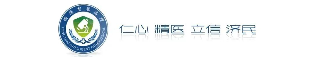 fh染色是什么意思讲座｜ FH缺失型子宫平滑肌瘤_https://www.jmylbn.com_新闻资讯_第35张