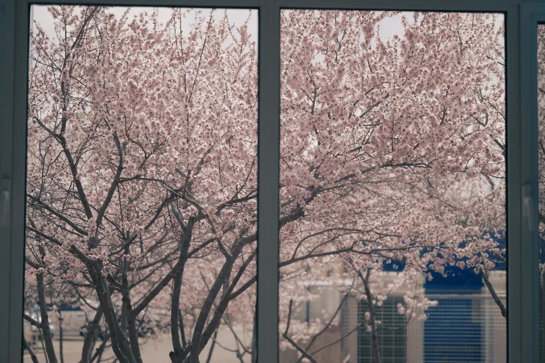 微信图片_20260402100815.jpg