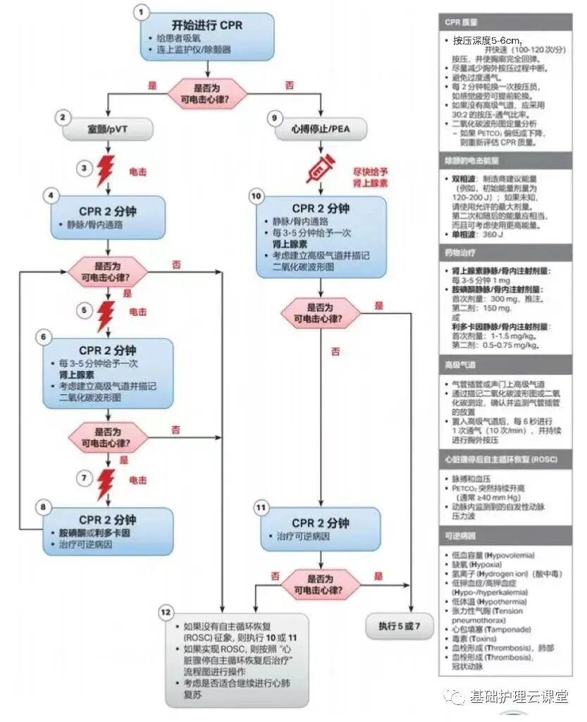 cpr按压板怎么放置CPR心肺复苏指南来啦！（2023）_https://www.jmylbn.com_新闻资讯_第14张
