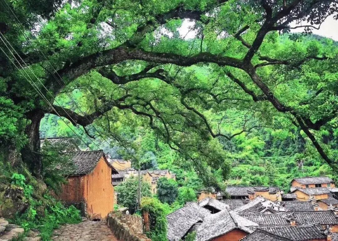 重庆厦门黄山丽水酒店房券599起暑期周末不加价有效期至12月