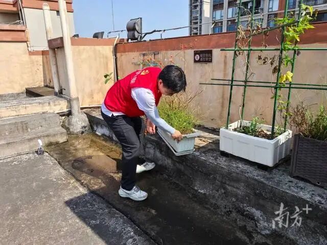 佛山顺德全域全员参与疫情防控工作。顺宣供图