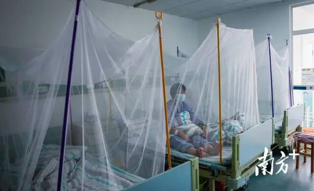 佛山乐从医院目前收治基孔肯雅热病人。