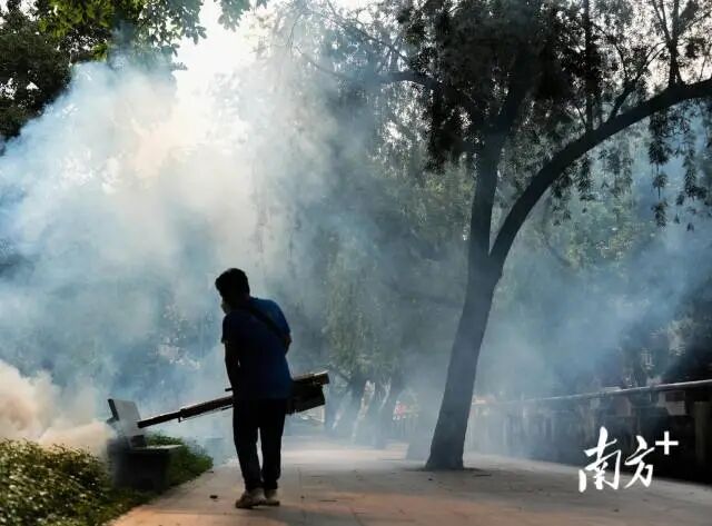 工作人员对佛山乐从镇的公园草地进行消杀灭蚊。
