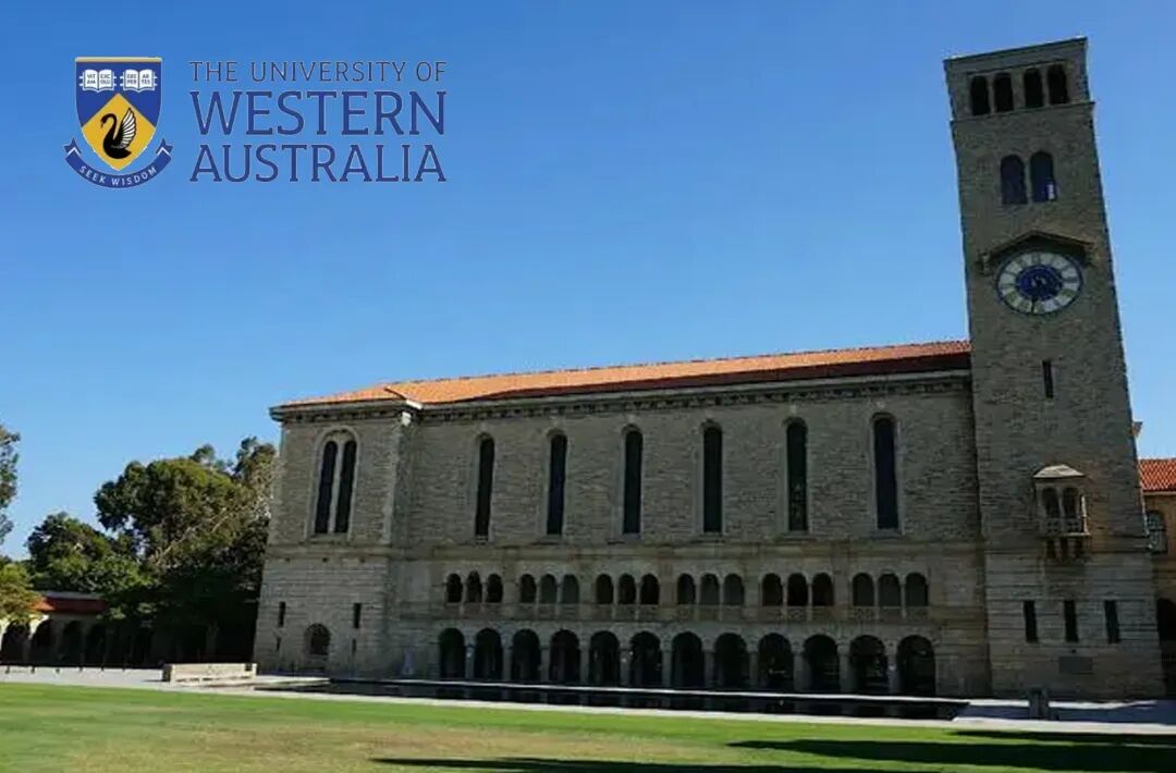 招考报名2024年四川外国语大学22国际本科报考指南