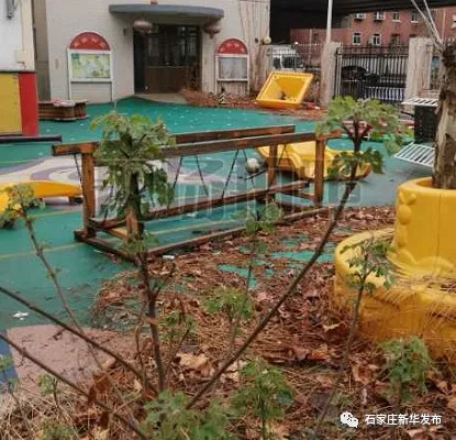 【三创四建】东焦街道集中清理沿街积存垃圾