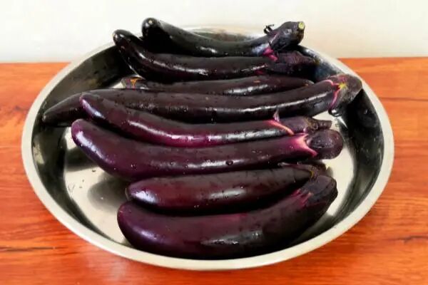 茄子会食物中毒吗 胃不好可以吃茄子吗