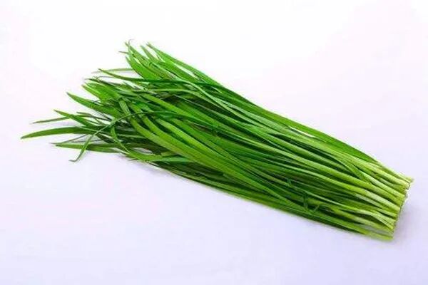 韭菜是不是发物 韭菜是不是感光食物