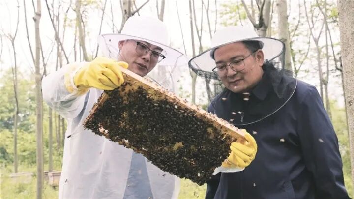 伍华珺（左）和刘云（右）在进行技术交流。