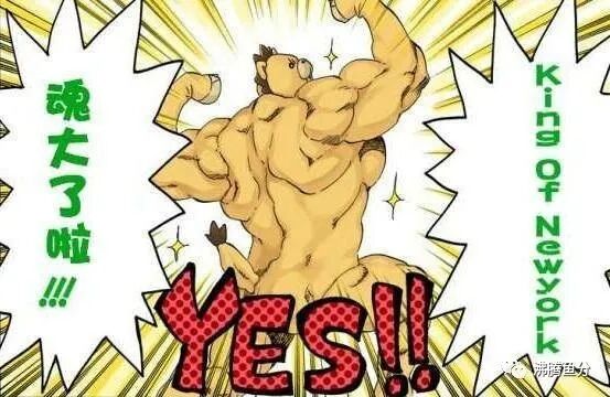 三郎王青_王十三郎_三郎王青个人简历