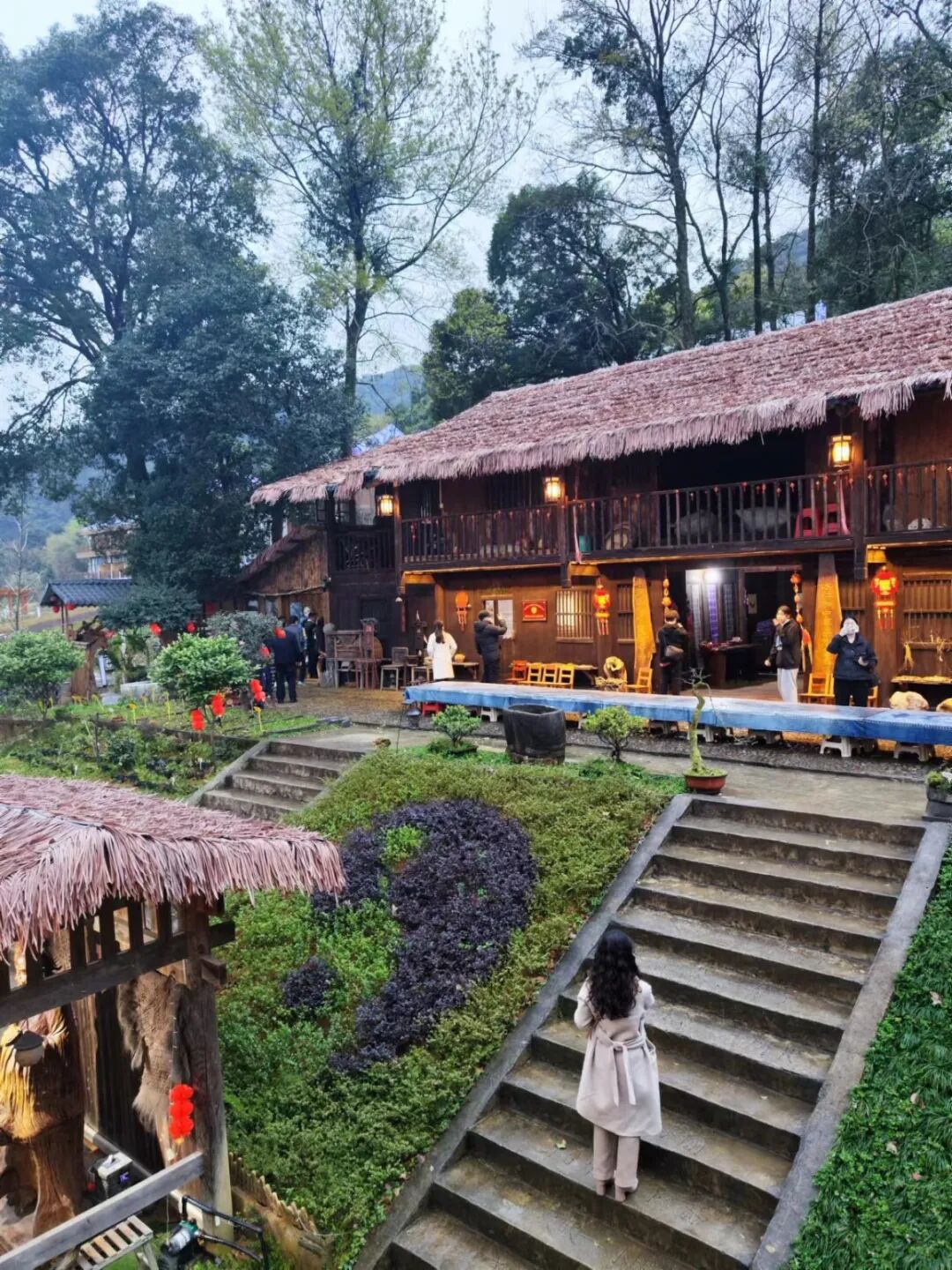 广西富川打造林药经济产业格局生态绿里寻出路