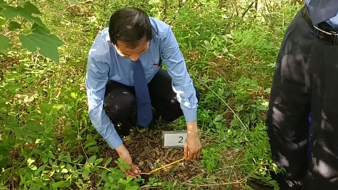 【学“习”检行】安徽法治报 ｜ 让“古城古建筑古墓葬古文物”重放光彩 安徽淮南：检察履职助力历史文化保护工作