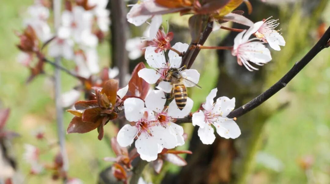 教育部：上半年这些考试 取消！(教育部考试中心取消考试怎么办)