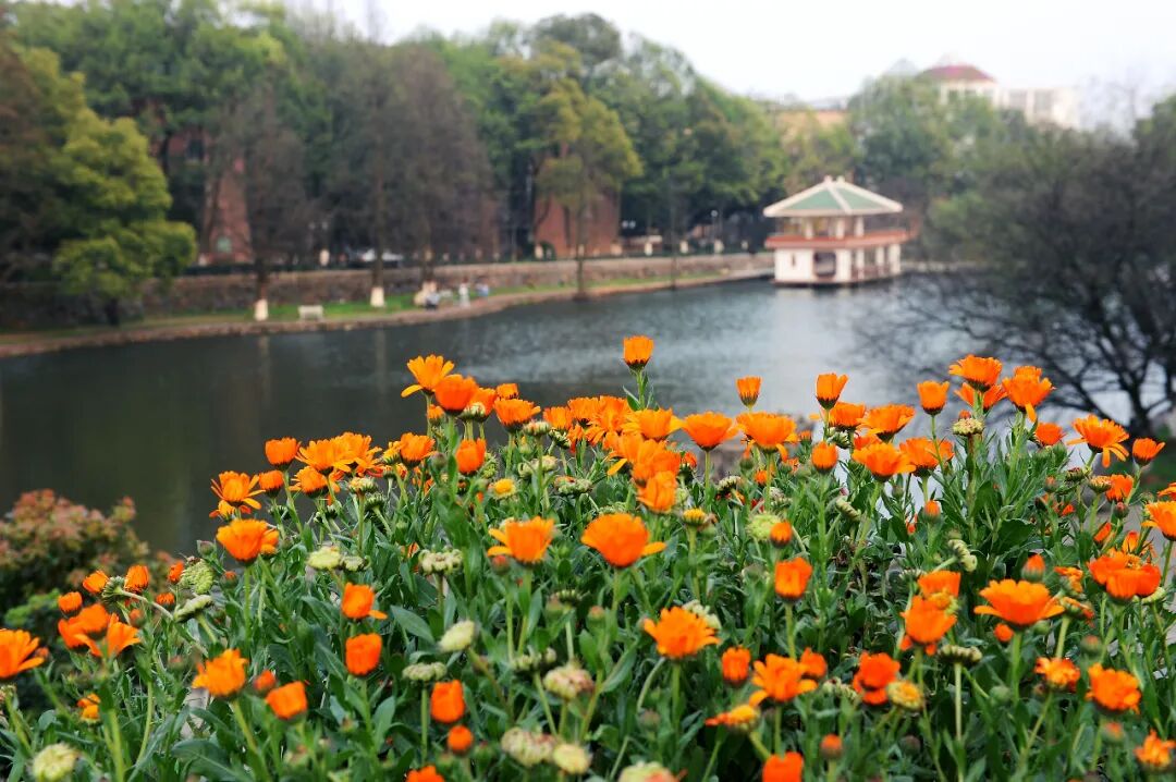 教育部：上半年这些考试 取消！(教育部考试中心取消考试怎么办)