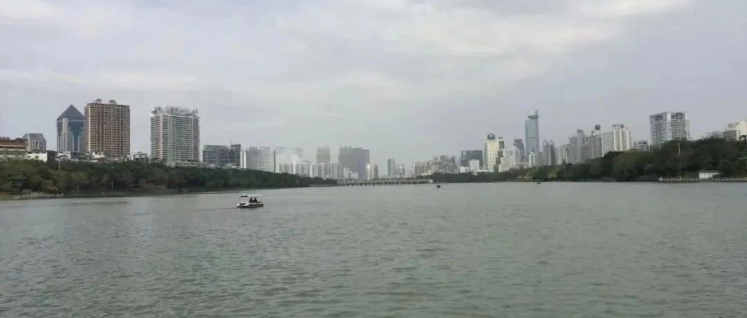 cover_image