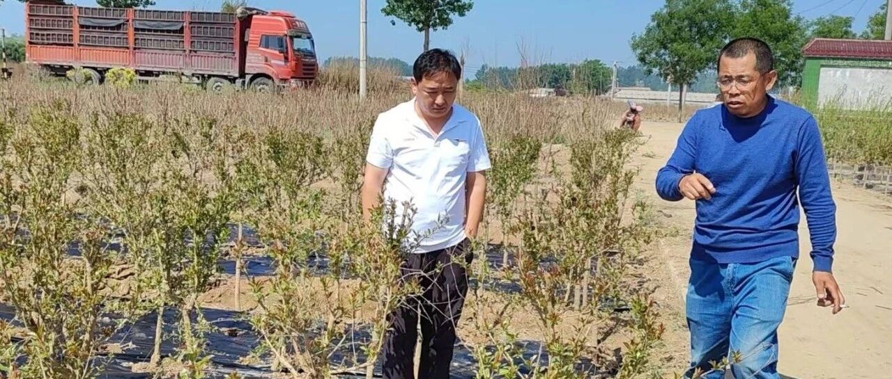 大柳镇:&ldquo;五一&rdquo;我在岗 守责有担当