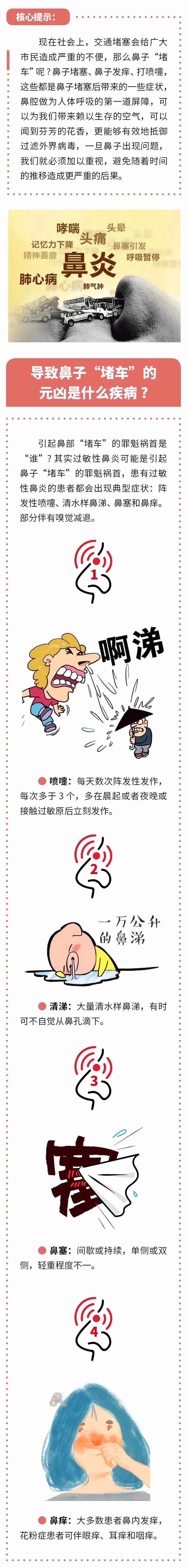 鼻子“塞车”都是过敏性鼻炎惹的祸