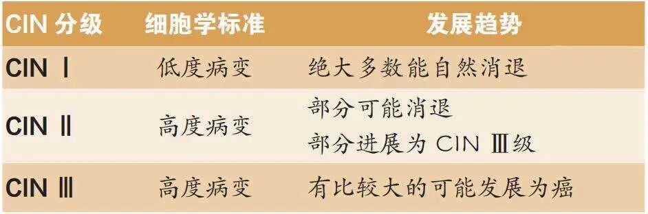 lct怎么检查宫颈癌筛查报告看不懂？一分钟教你读懂报告结果_https://www.jmylbn.com_新闻资讯_第4张