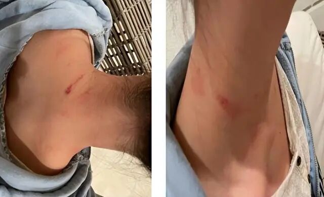 名震京城的天上人间老板纽约认罪身背花魁遇害谜案
