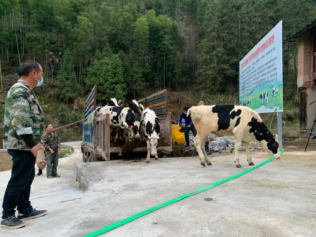 致富牛人阿福_致富经牛_致富牛人四川乡村