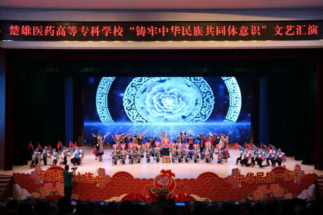 "石榴结籽心连心  中华民族一家亲"楚雄医药高等专科学校举办铸牢中华