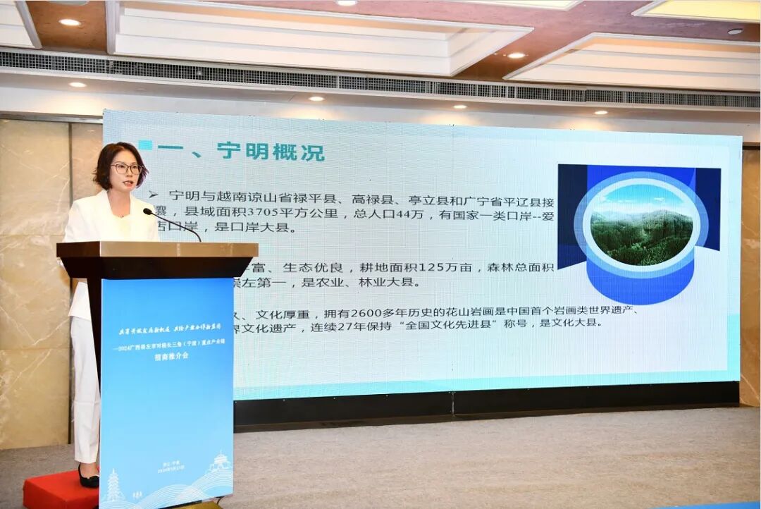 共享开放发展新机遇 共绘产业合作新蓝图—2024广西崇左市对接长三角