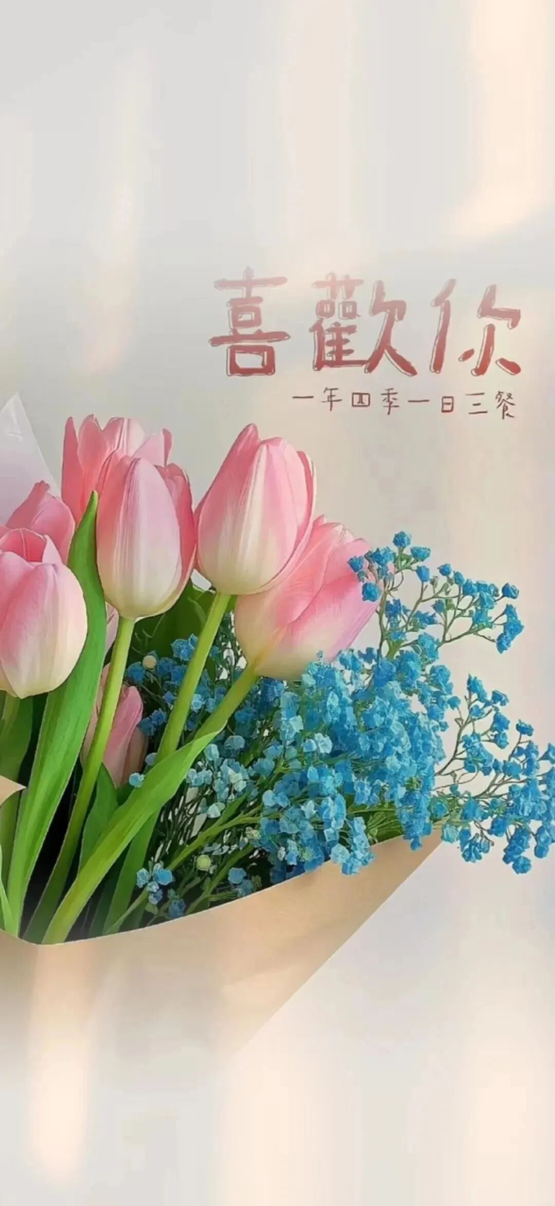电脑壁纸｜8K 高清 HelloKitty电脑桌面壁纸来喽