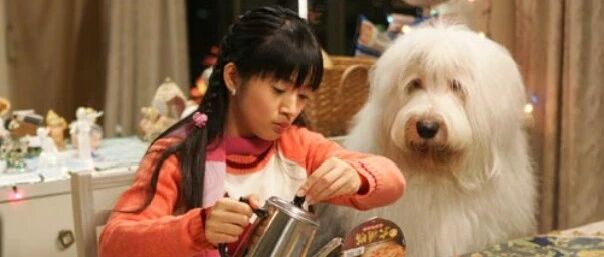 多少人口口声声爱猫狗，却悄悄抛弃它们