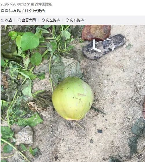 困在他乡这一年：现实版“荒岛求生记”