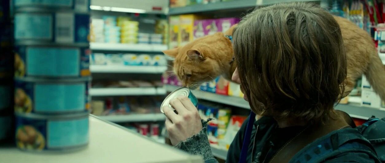 以为单身就能保住钱包，直到我开始养猫