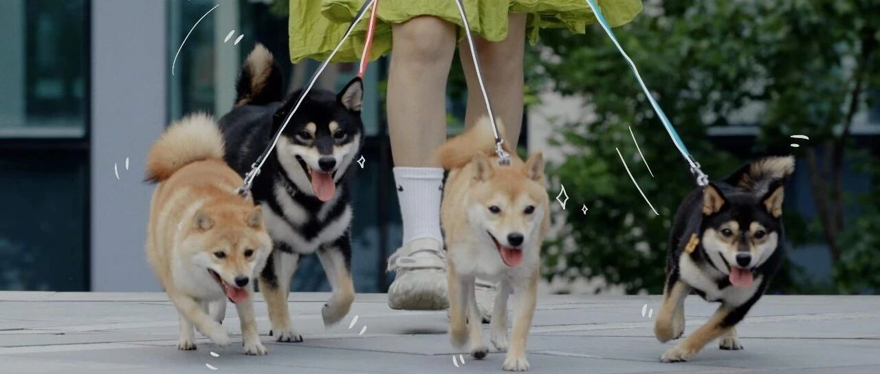 对宠物好一点，很难吗？