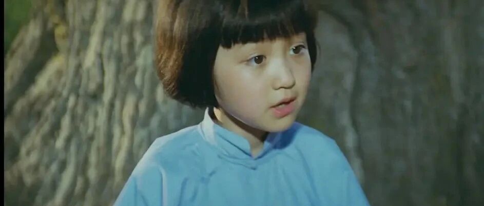 万万没想到，语文课文“骗”了我这么多年