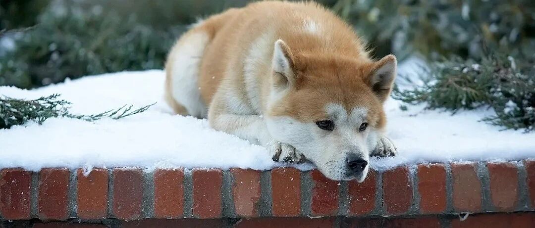 弃宠隔离，这届年轻人真的办不到