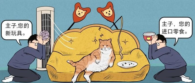 我努力赚钱，就是为了给猫全天开空调