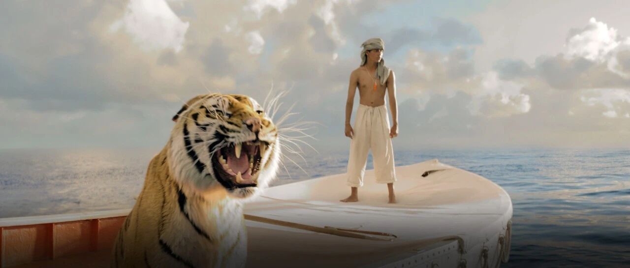 “虎年了，我终于下决心养只猫”