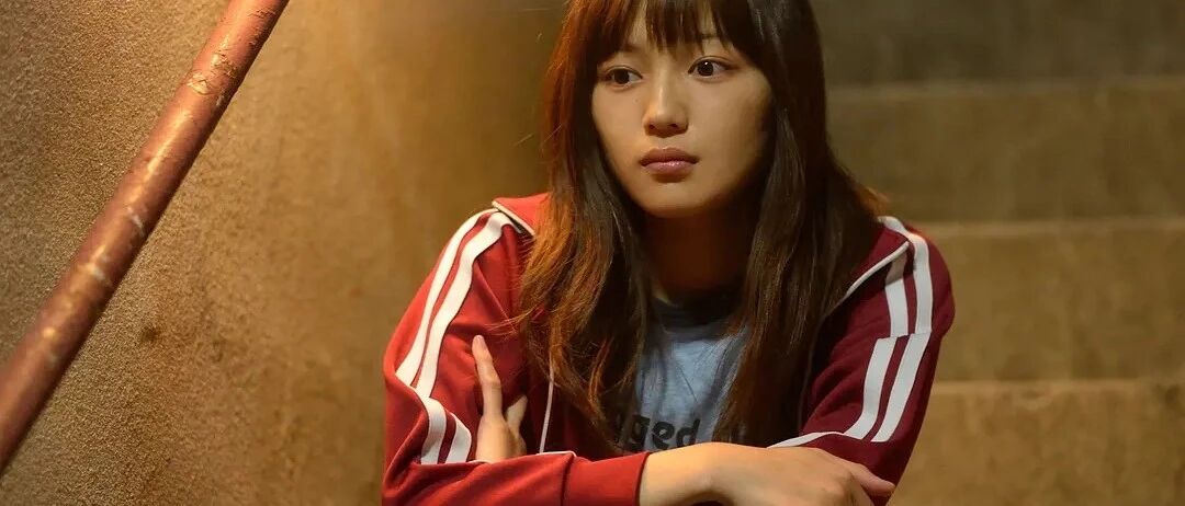 双一流不招收专升本，专科生还有什么出路